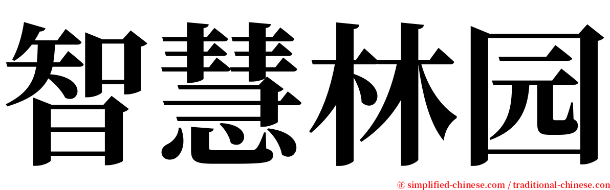 智慧林园 serif font