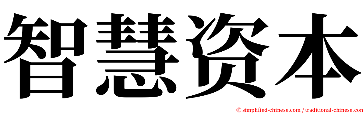 智慧资本 serif font