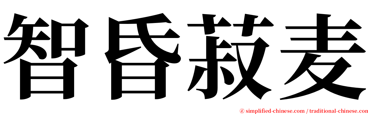 智昏菽麦 serif font