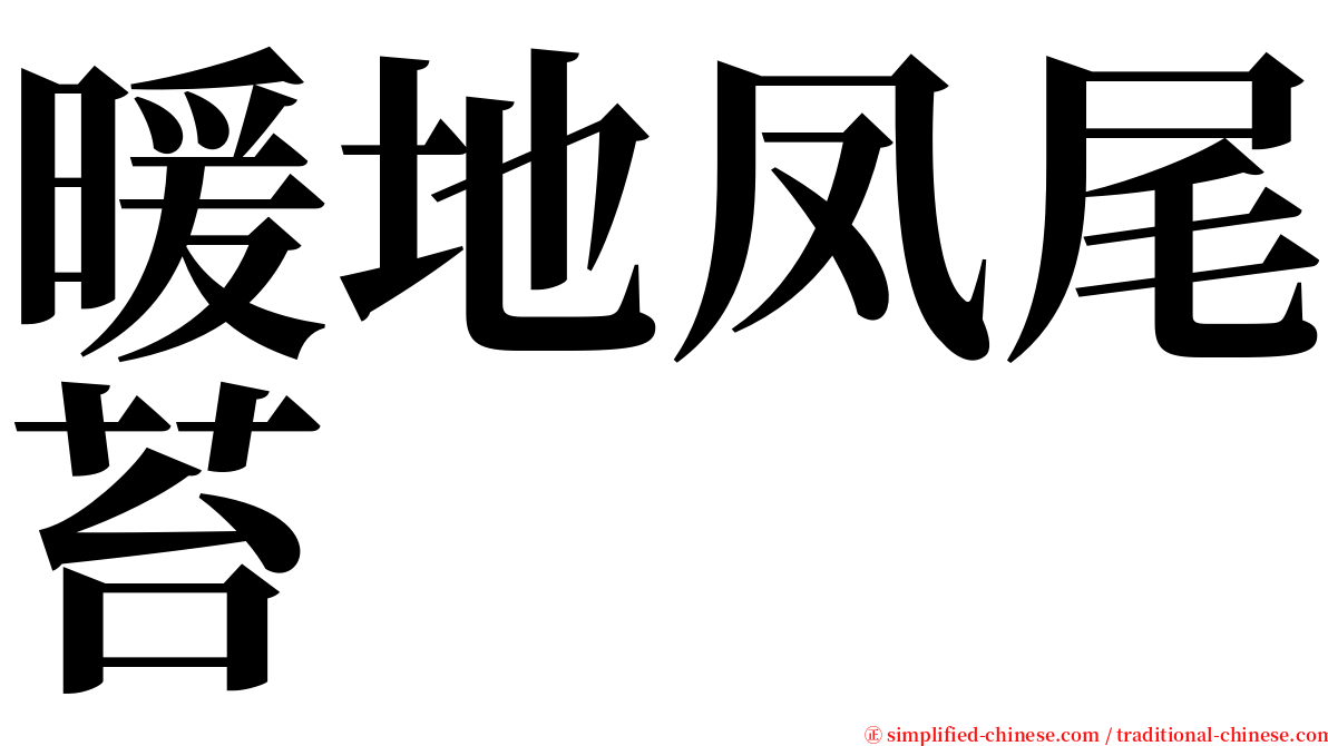 暖地凤尾苔 serif font