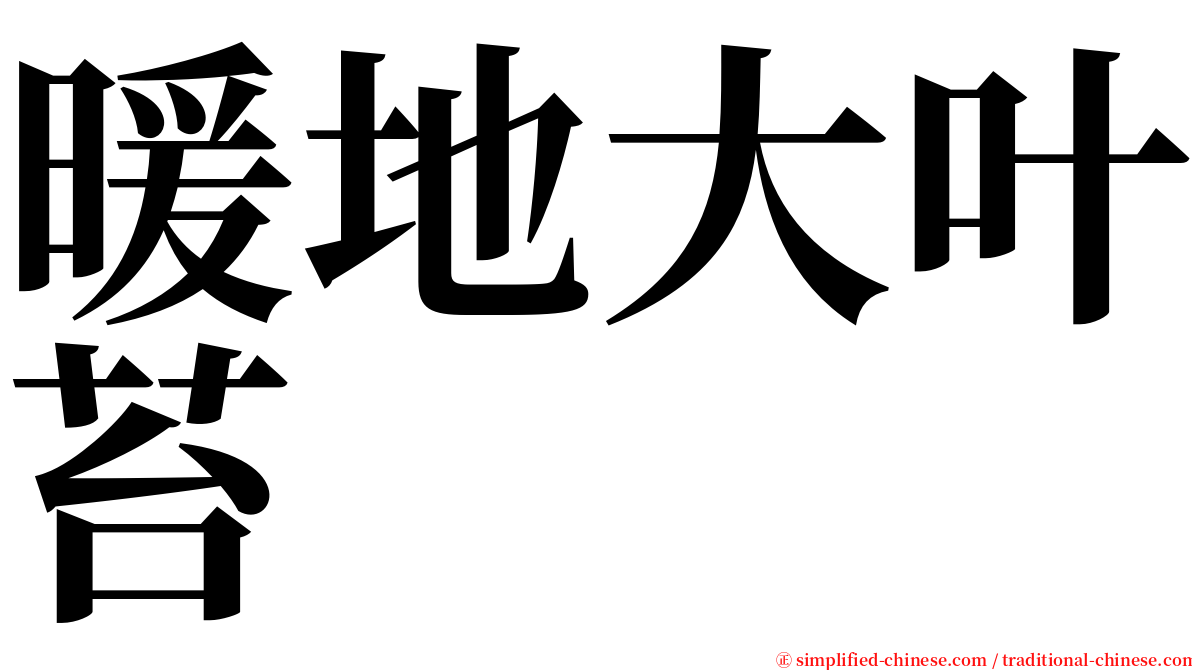 暖地大叶苔 serif font