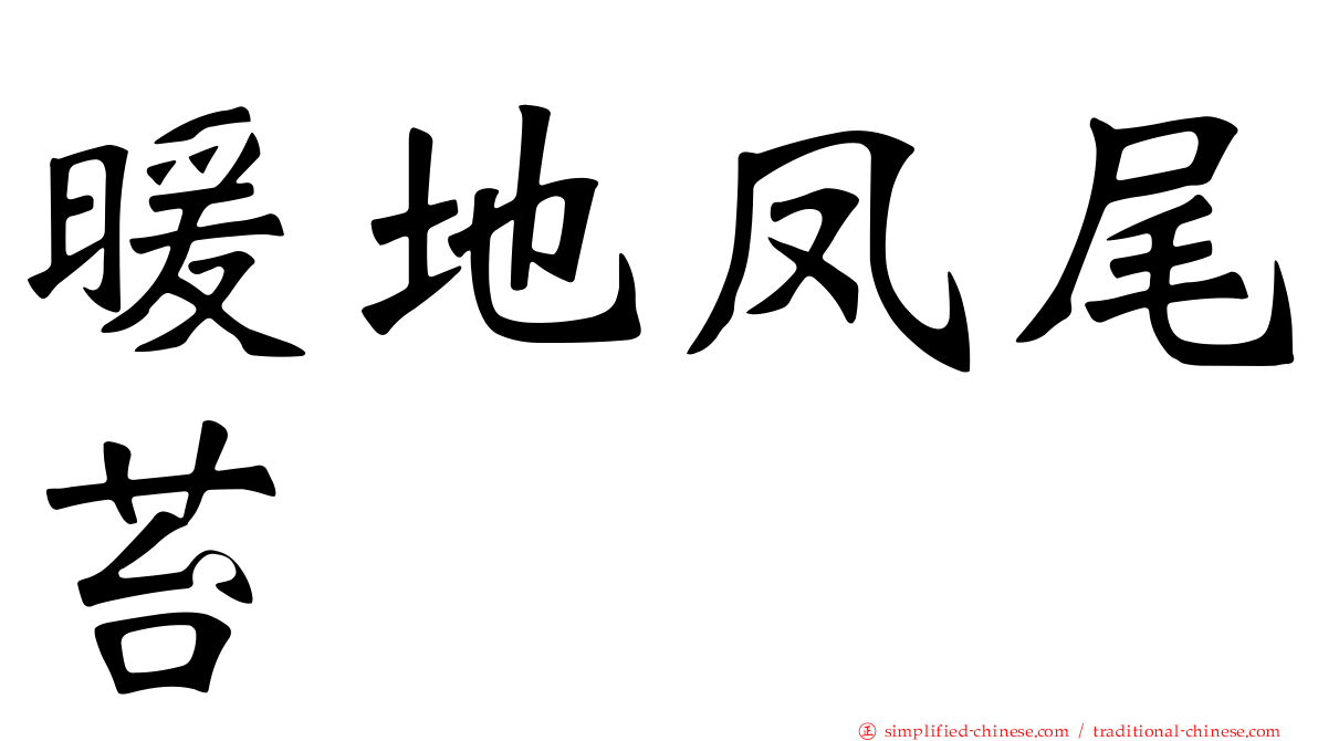 暖地凤尾苔