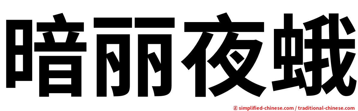暗丽夜蛾