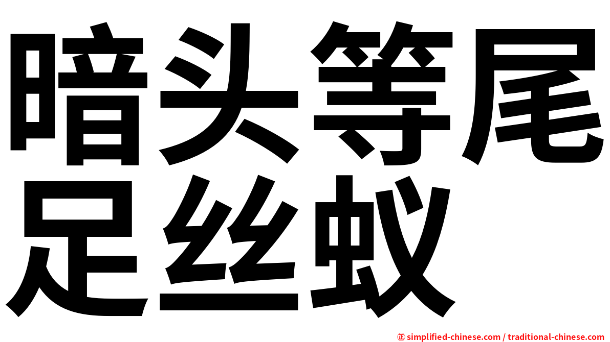暗头等尾足丝蚁