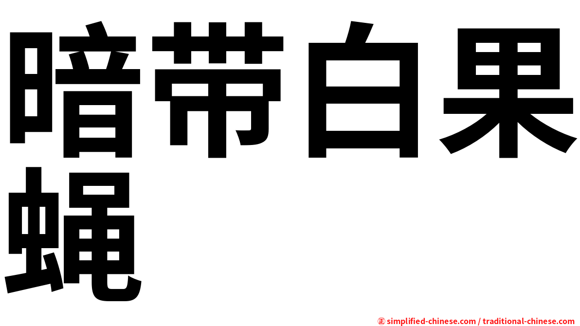 暗带白果蝇