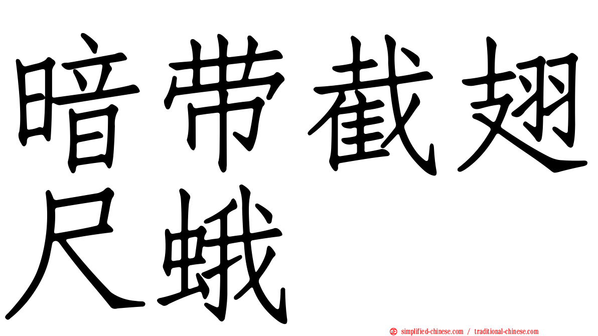 暗带截翅尺蛾