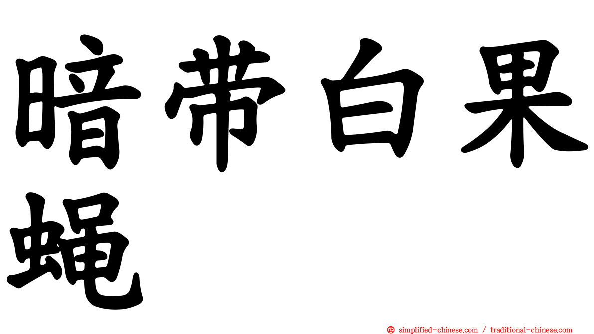 暗带白果蝇