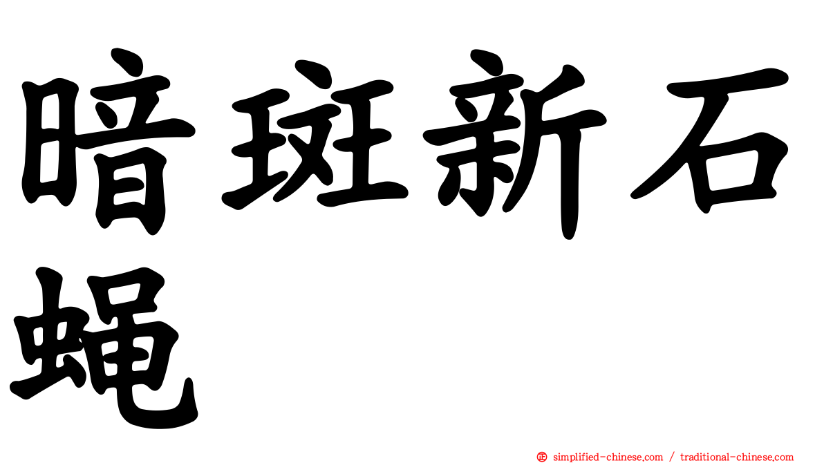 暗斑新石蝇