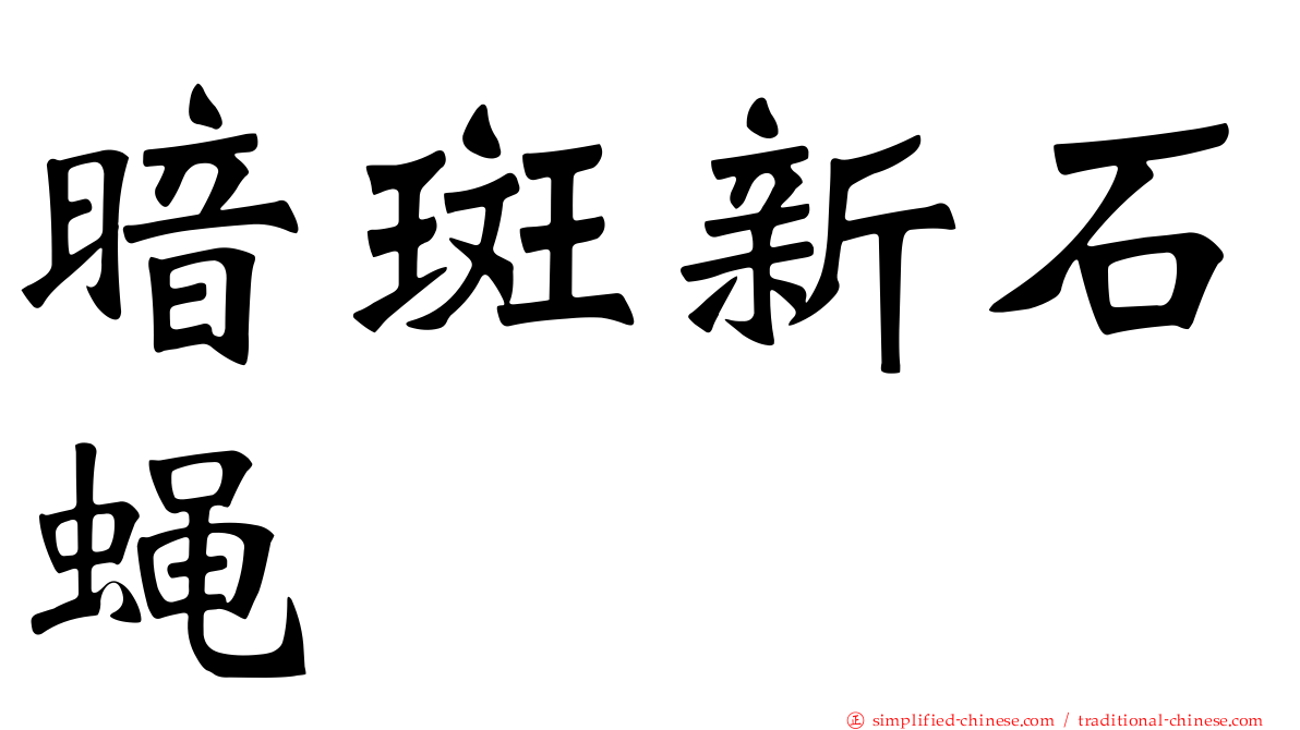 暗斑新石蝇
