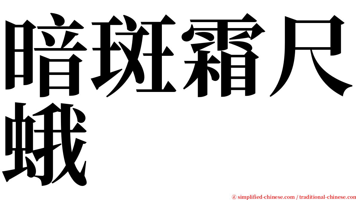 暗斑霜尺蛾 serif font