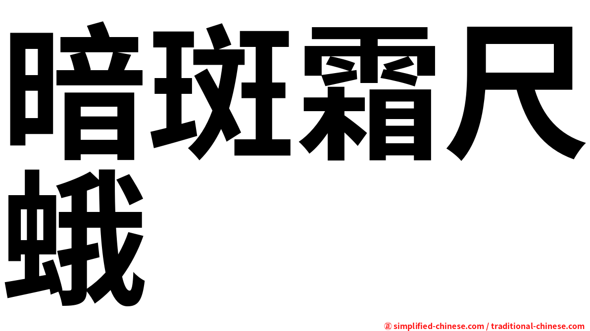 暗斑霜尺蛾