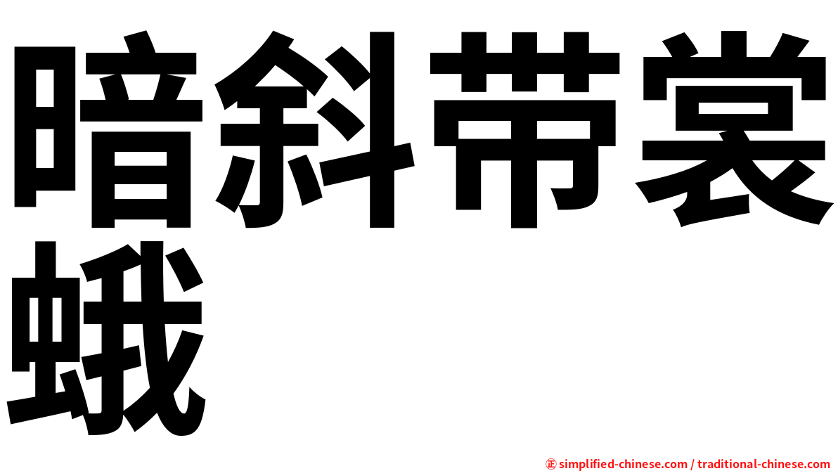 暗斜带裳蛾