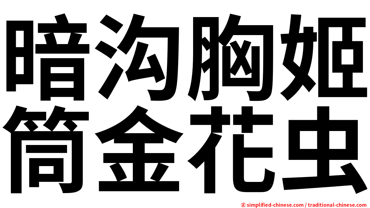 暗沟胸姬筒金花虫