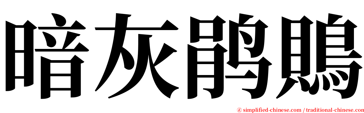 暗灰鹃鵙 serif font