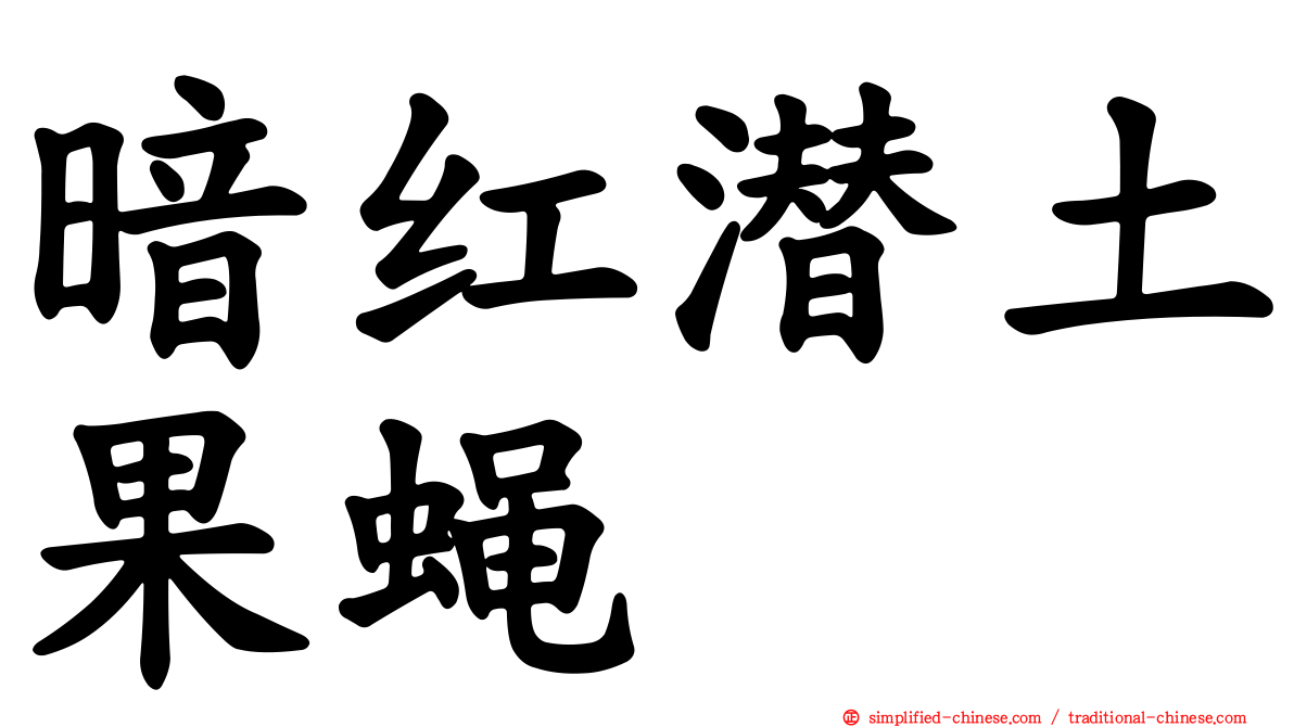 暗红潜土果蝇
