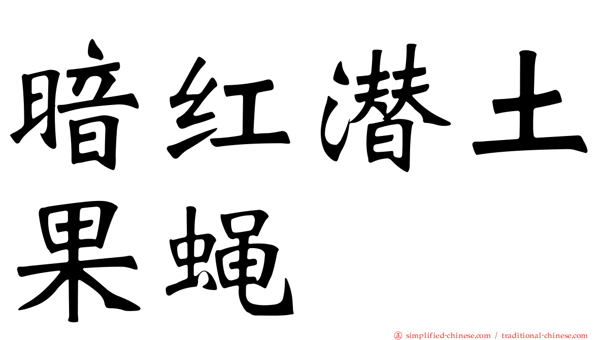 暗红潜土果蝇