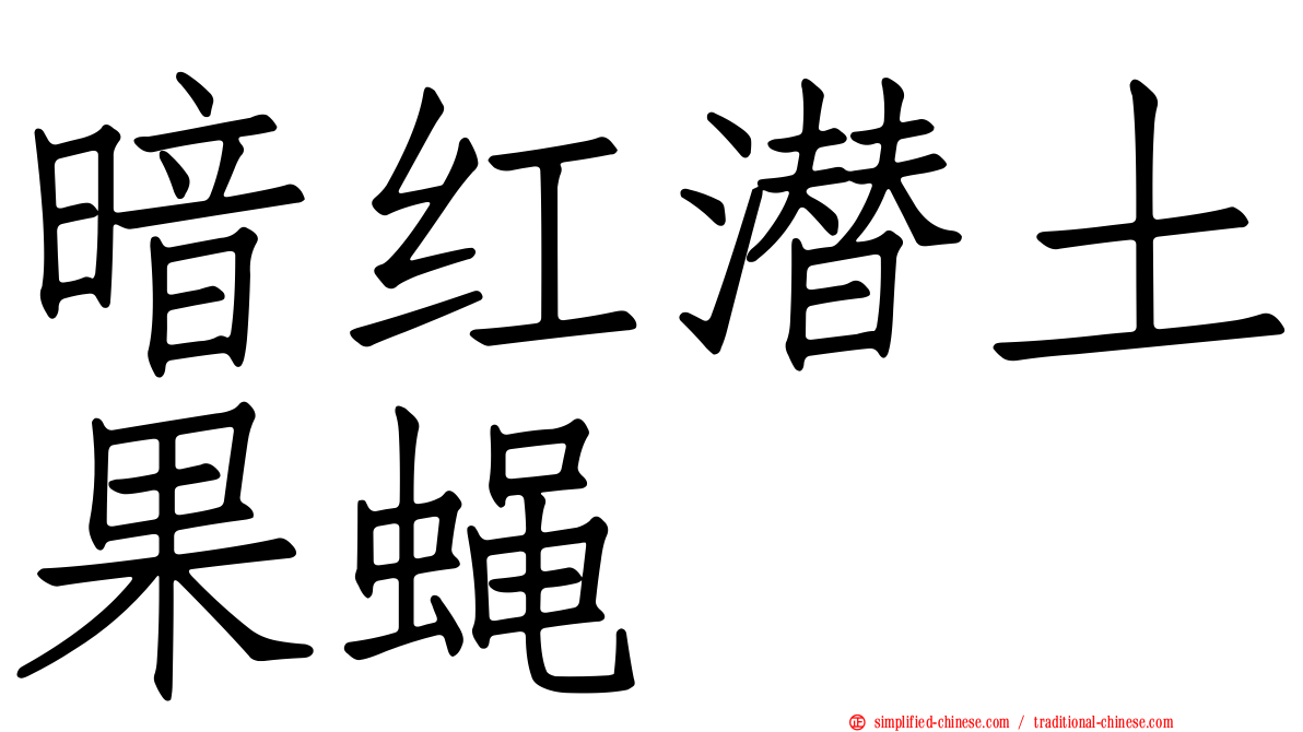暗红潜土果蝇