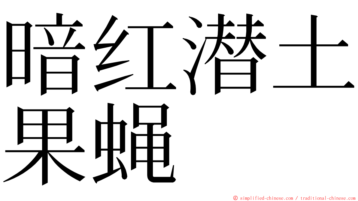 暗红潜土果蝇 ming font