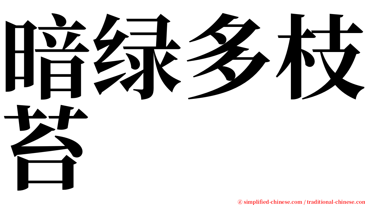 暗绿多枝苔 serif font