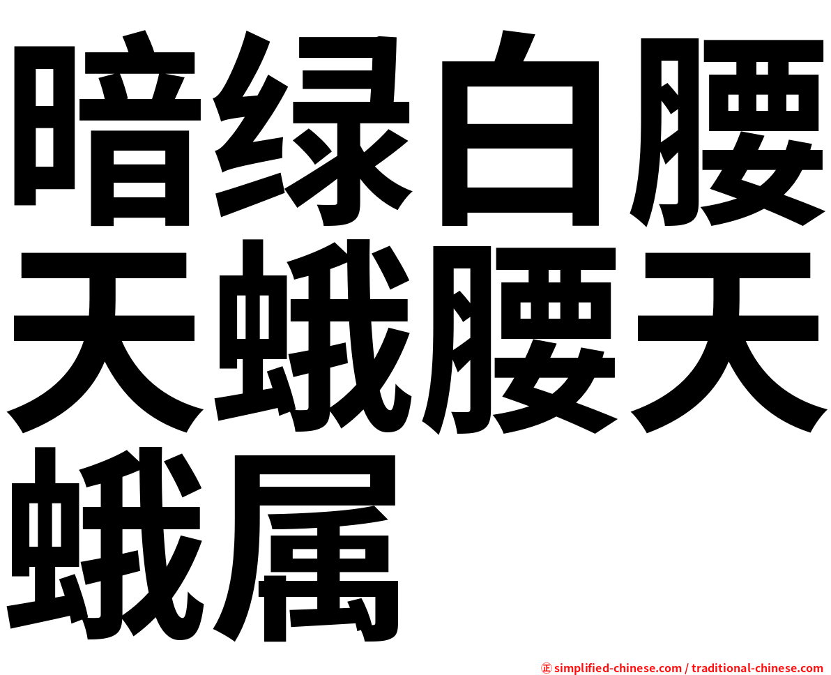 暗绿白腰天蛾腰天蛾属