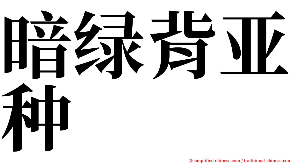 暗绿背亚种 serif font