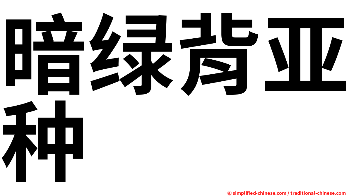 暗绿背亚种