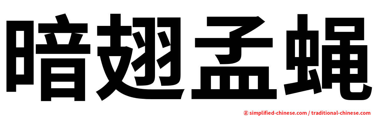 暗翅孟蝇