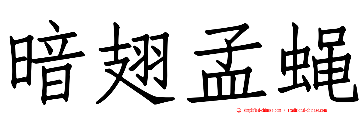 暗翅孟蝇