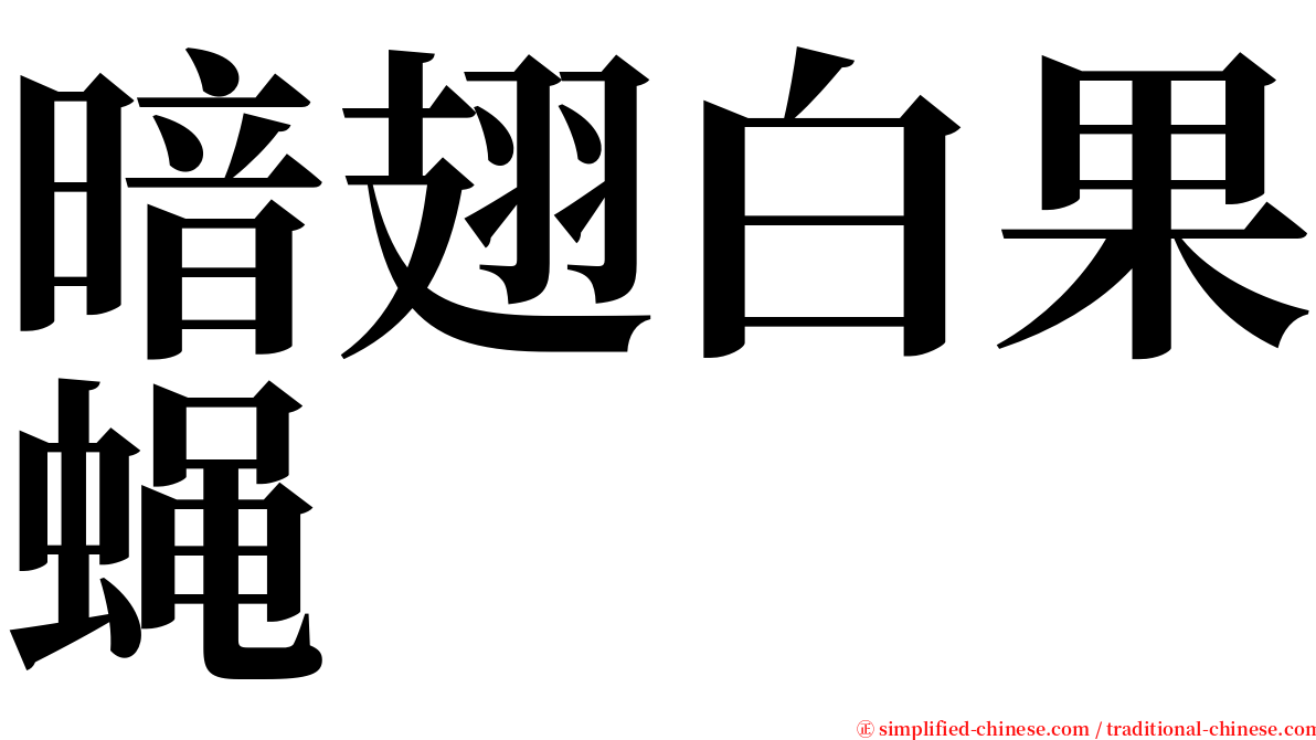 暗翅白果蝇 serif font