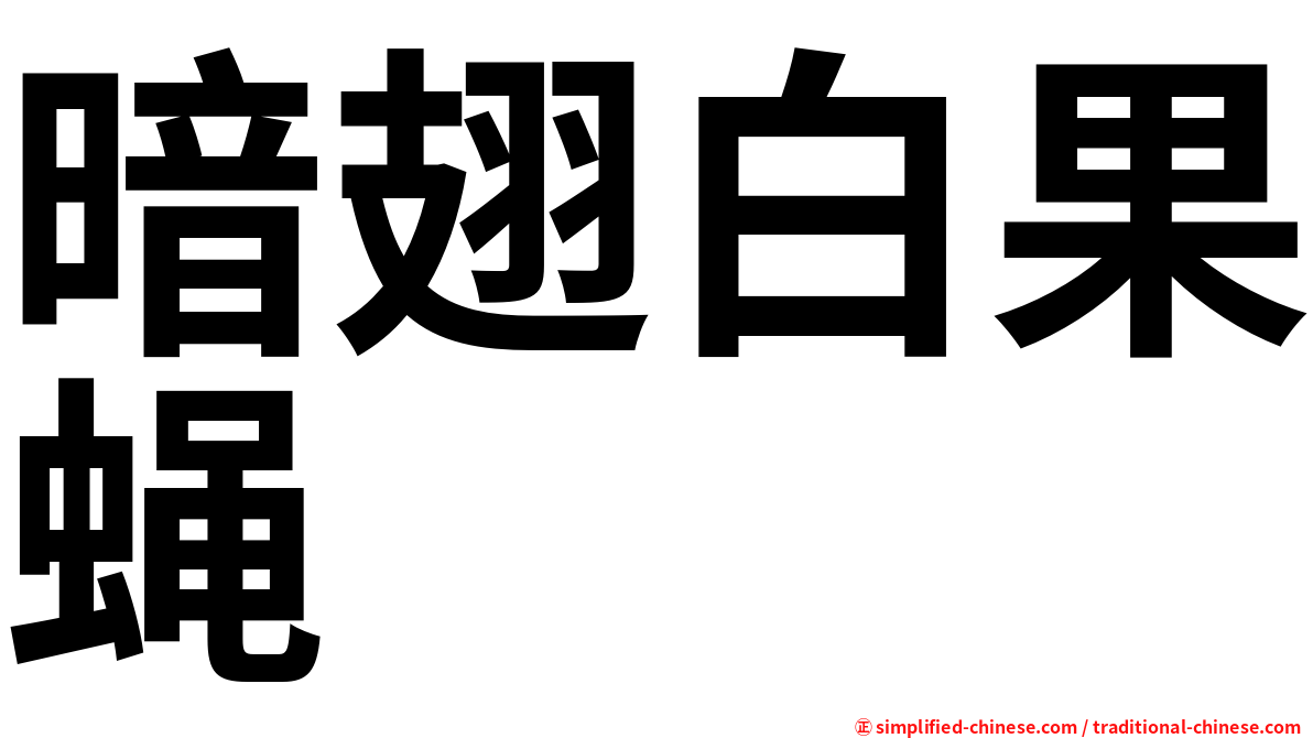暗翅白果蝇