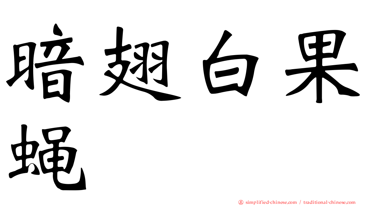 暗翅白果蝇