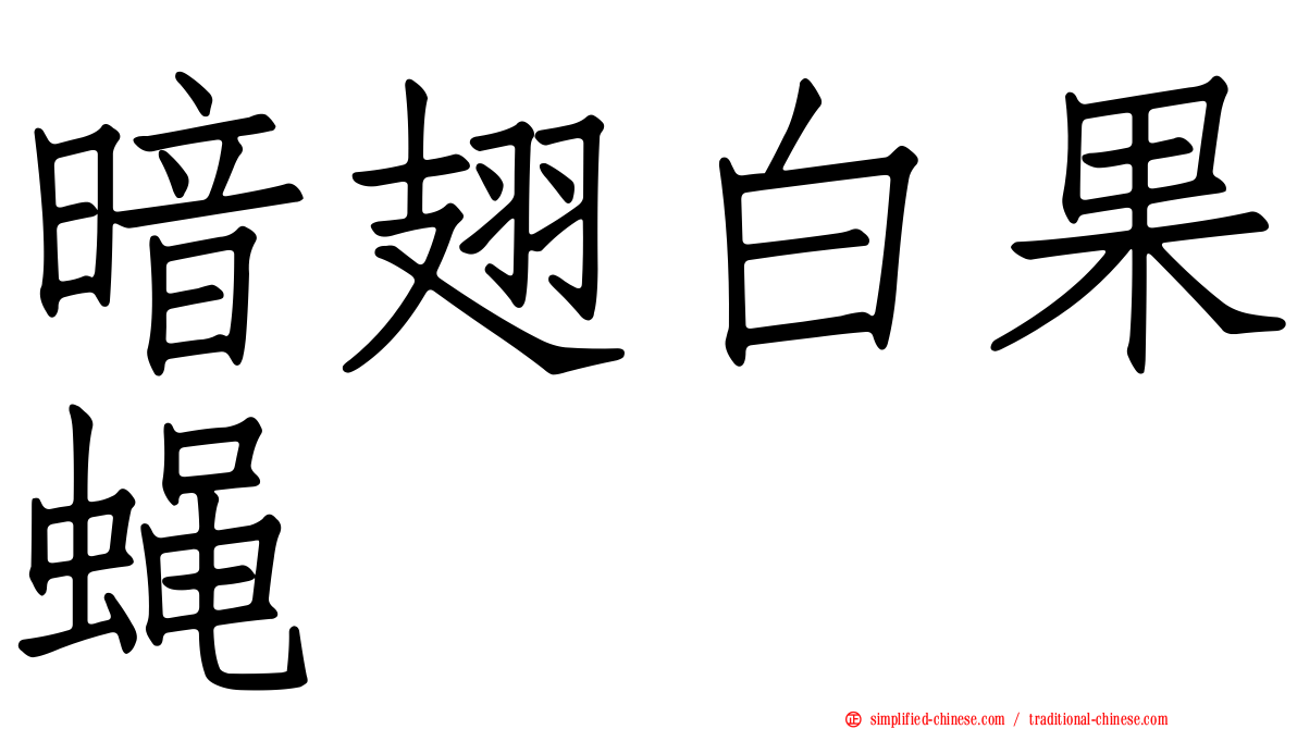暗翅白果蝇