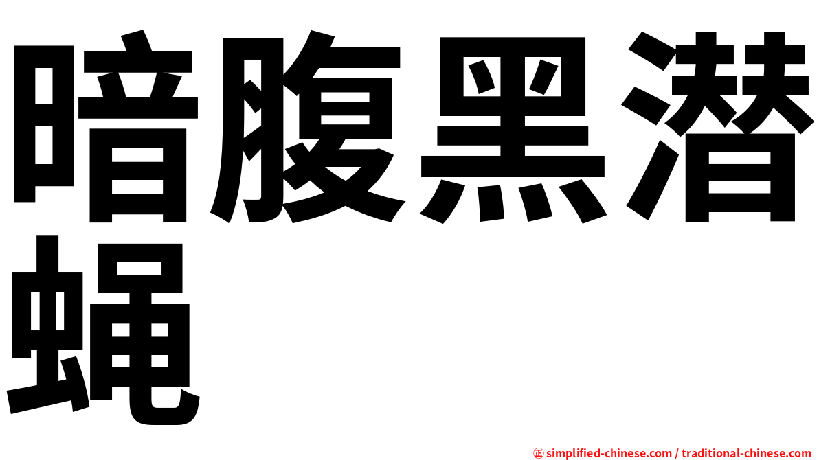 暗腹黑潜蝇