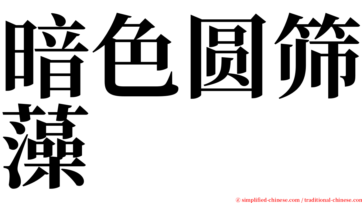 暗色圆筛藻 serif font