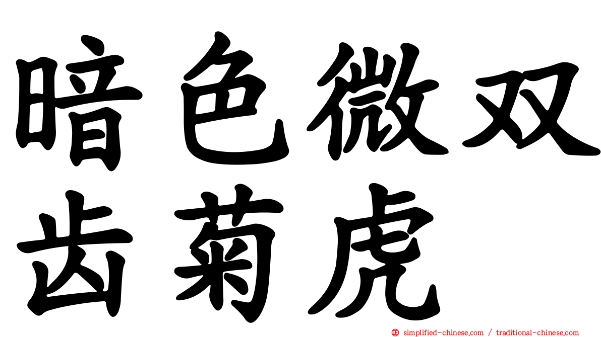暗色微双齿菊虎