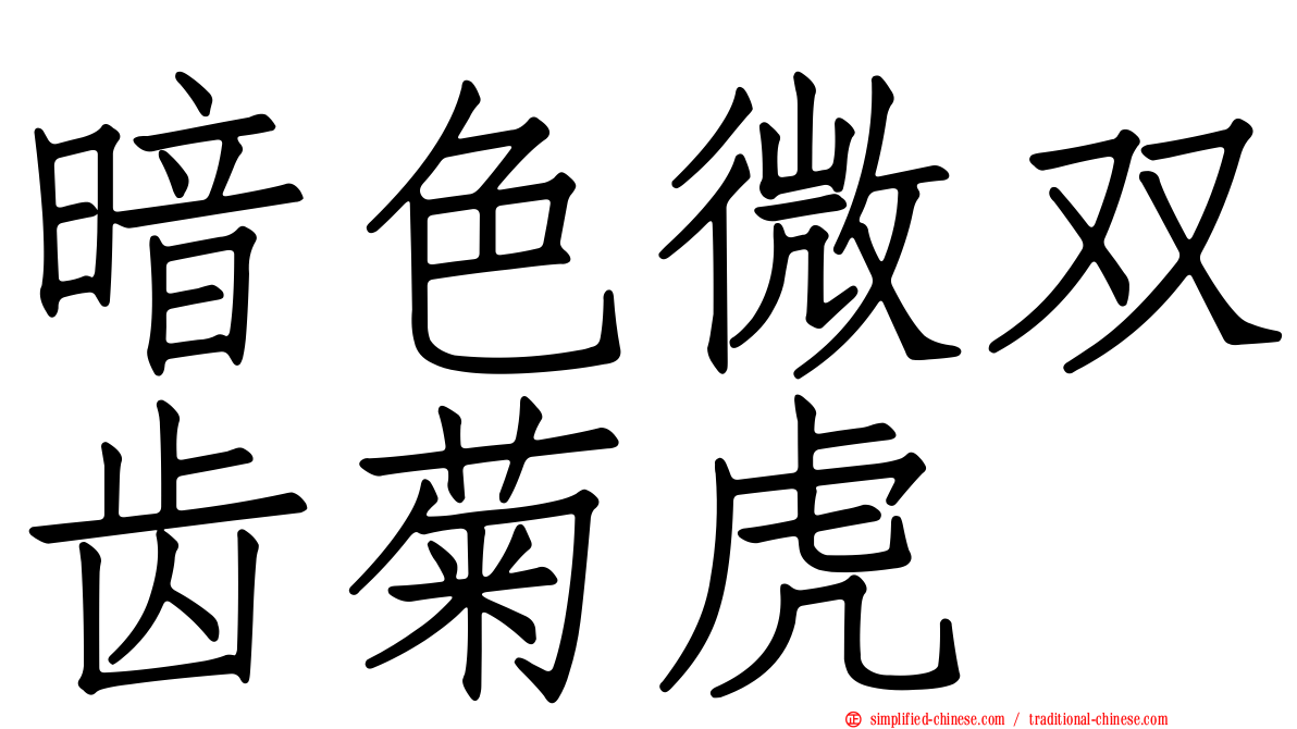 暗色微双齿菊虎