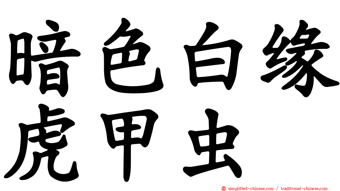 暗色白缘虎甲虫