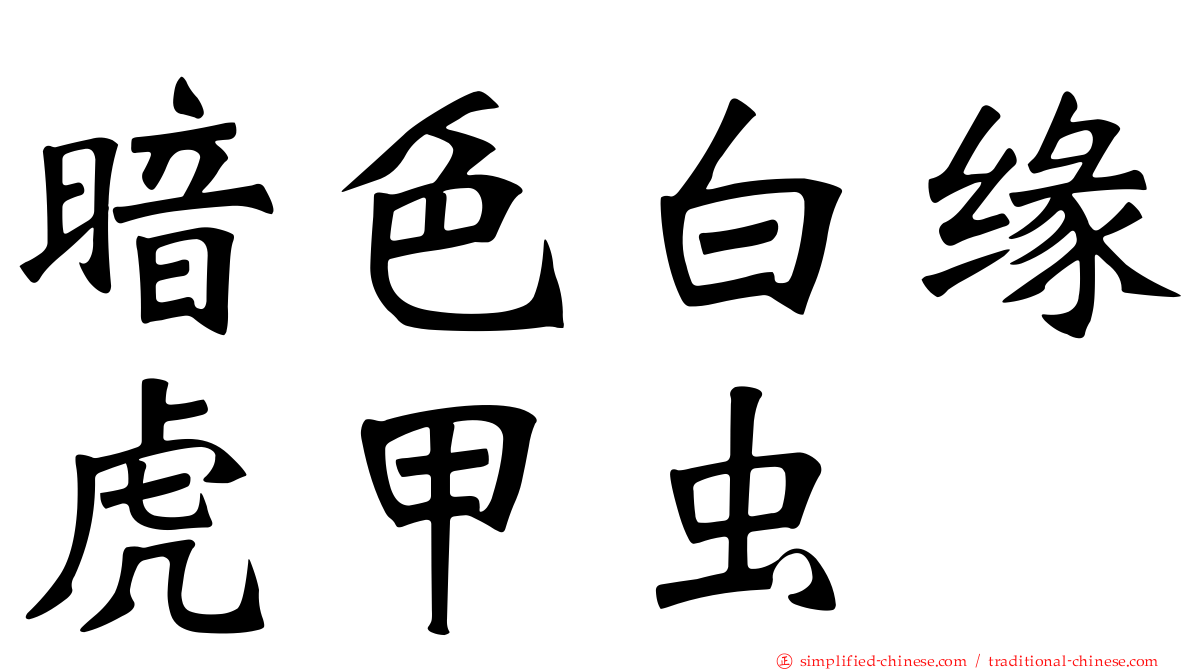 暗色白缘虎甲虫