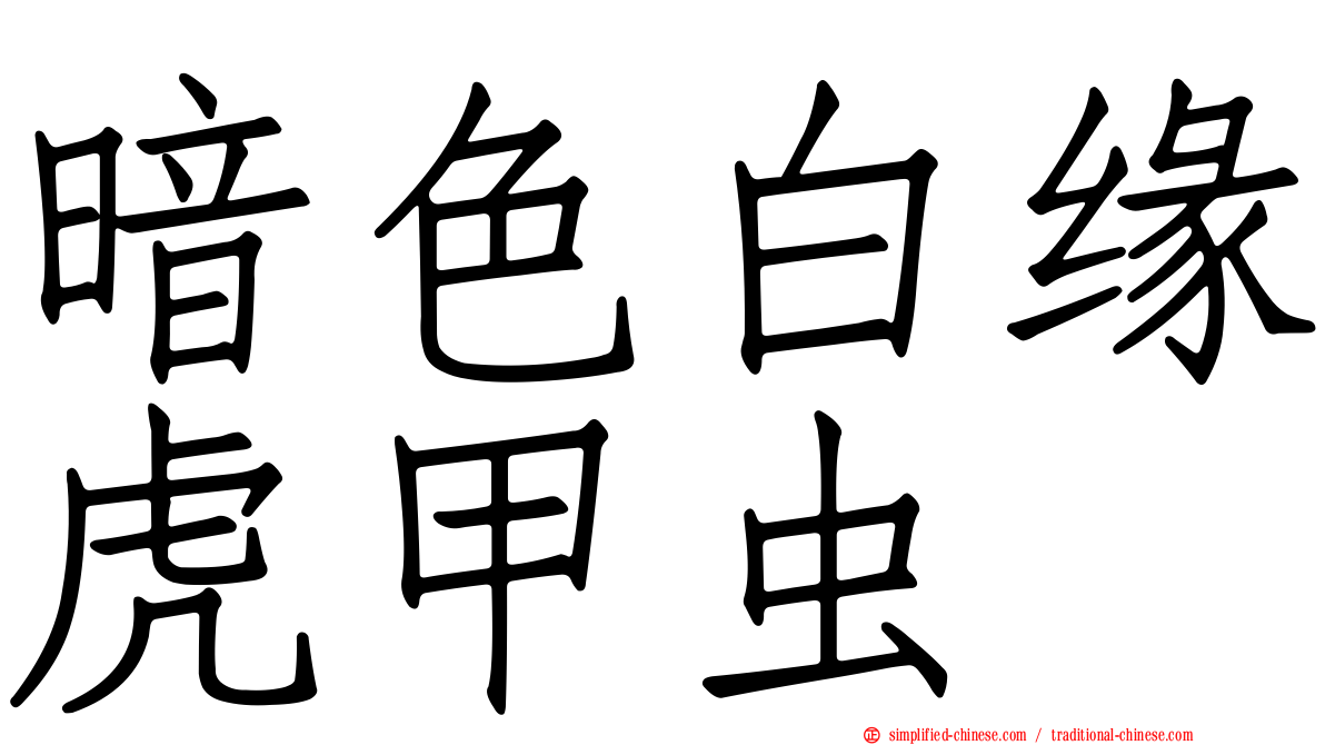 暗色白缘虎甲虫