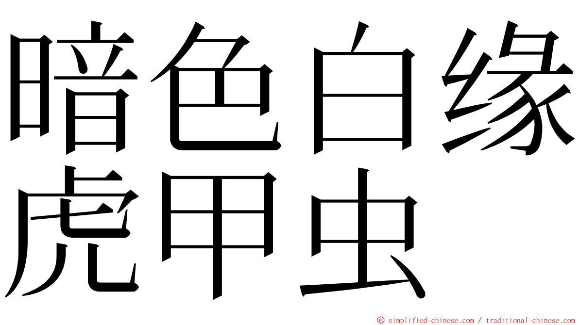 暗色白缘虎甲虫 ming font