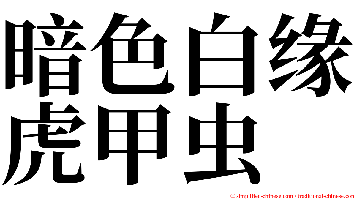 暗色白缘虎甲虫 serif font