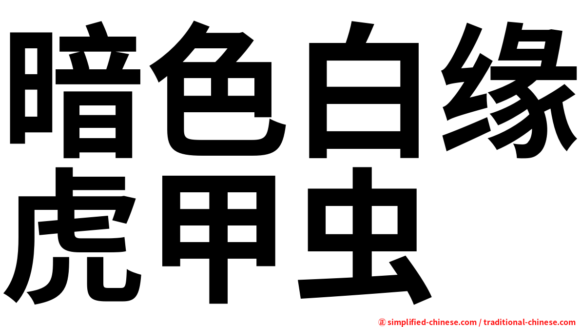暗色白缘虎甲虫