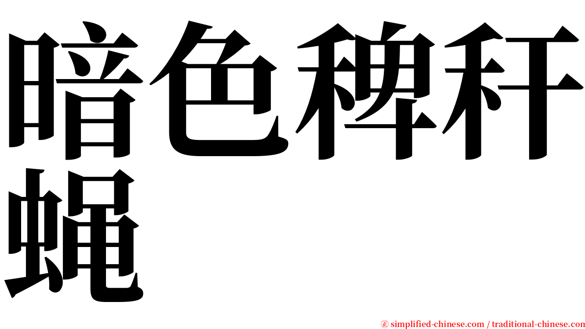 暗色稗秆蝇 serif font