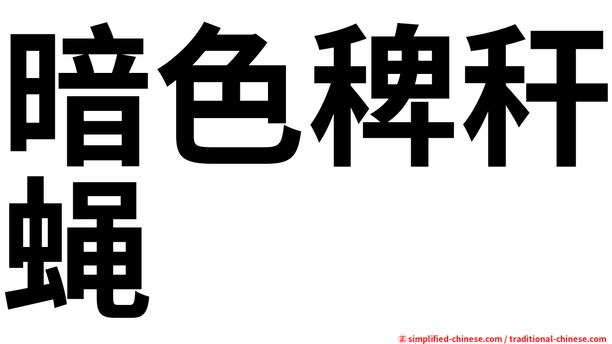 暗色稗秆蝇