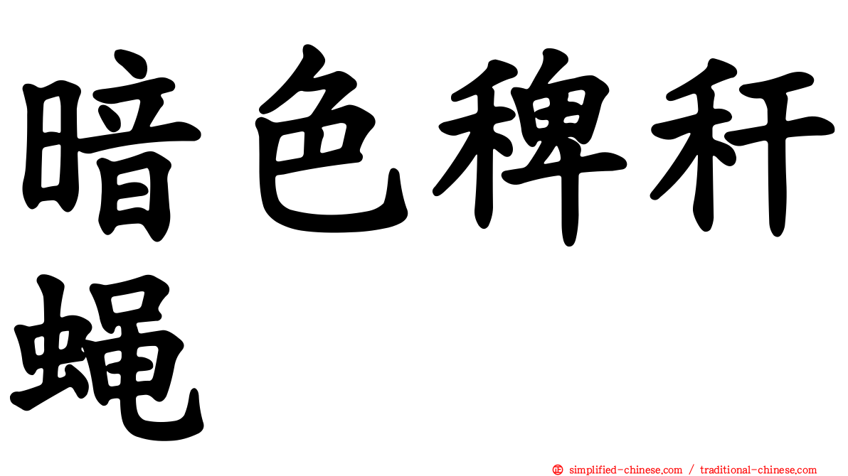 暗色稗秆蝇