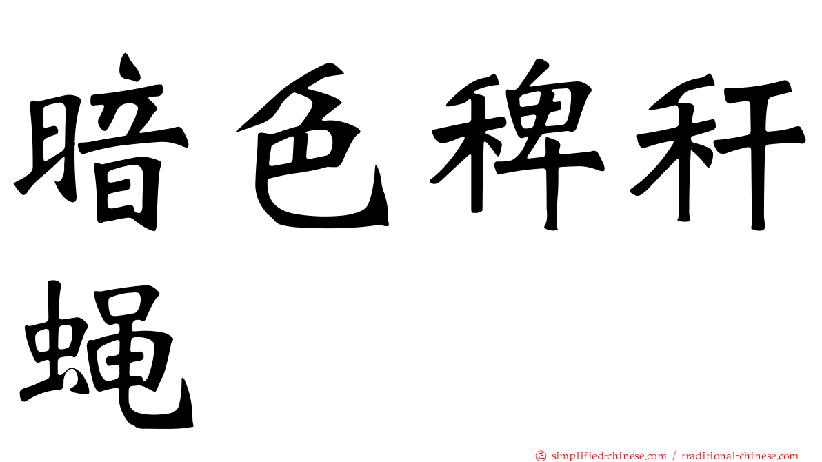 暗色稗秆蝇