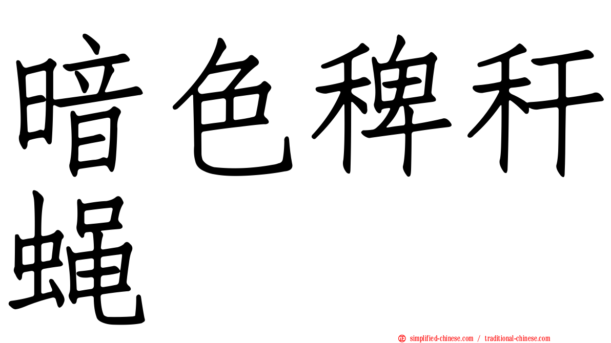 暗色稗秆蝇