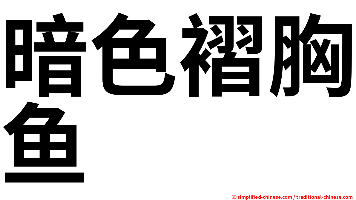 暗色褶胸鱼