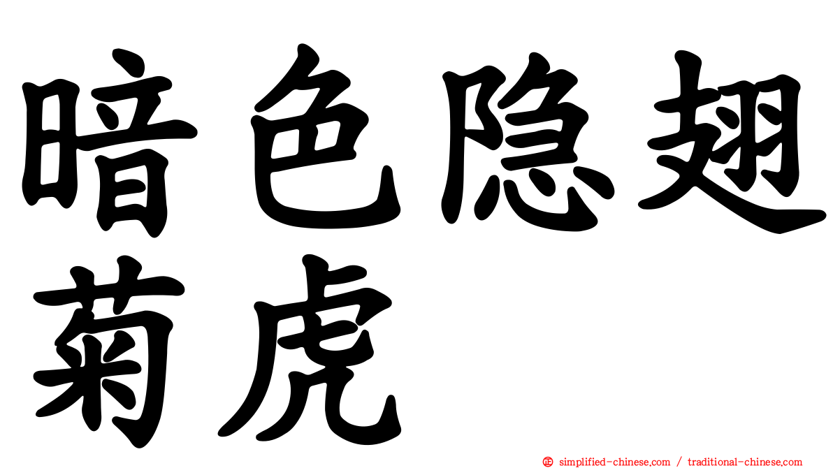 暗色隐翅菊虎
