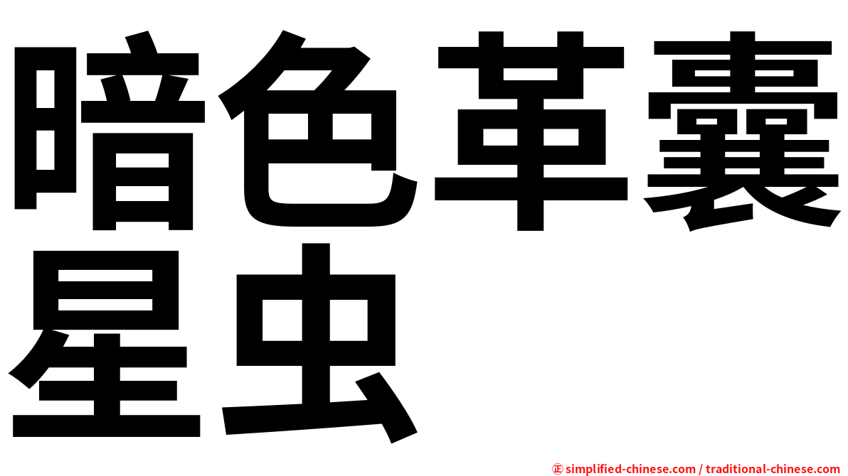暗色革囊星虫